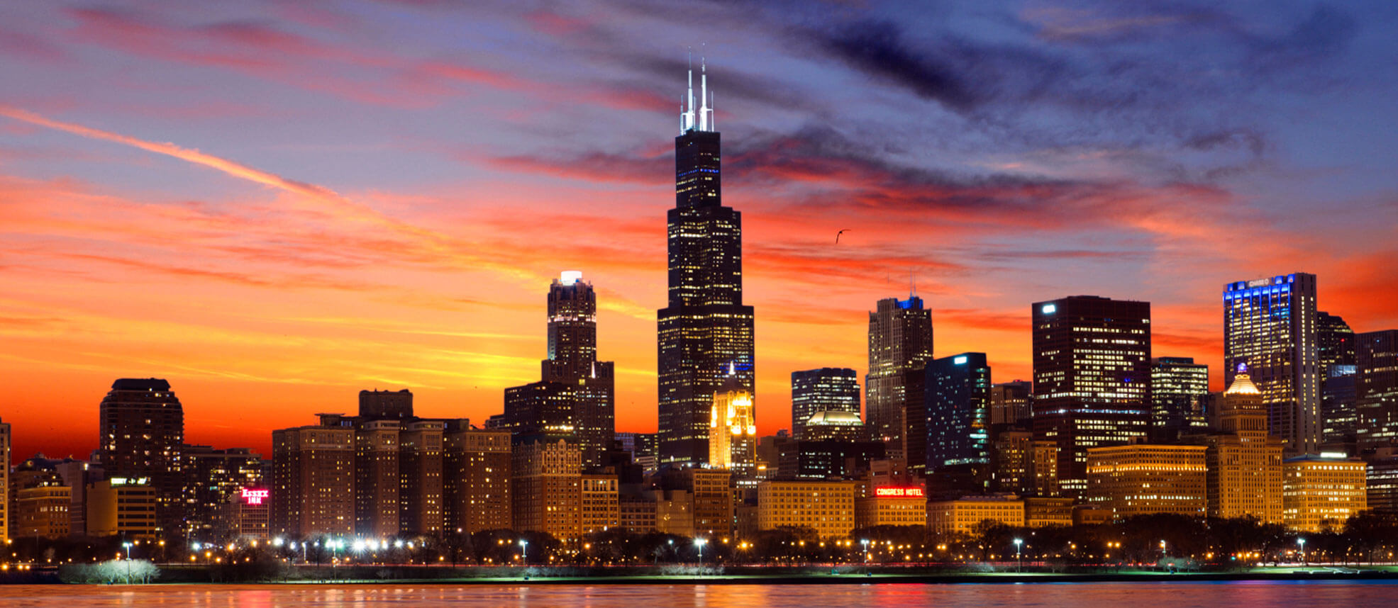 Appliance Movers In Chicago, IL